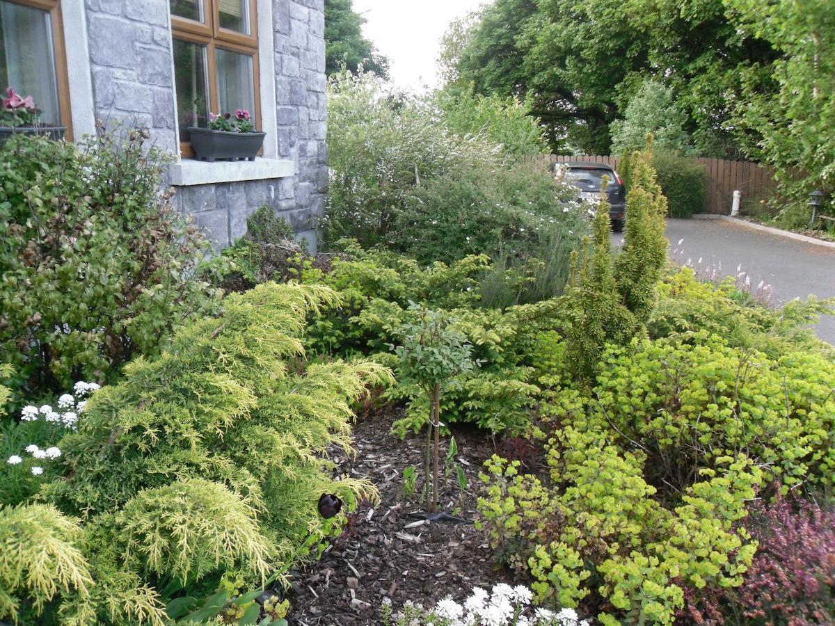 Couette-café Church View House Gorteen (Sligo)