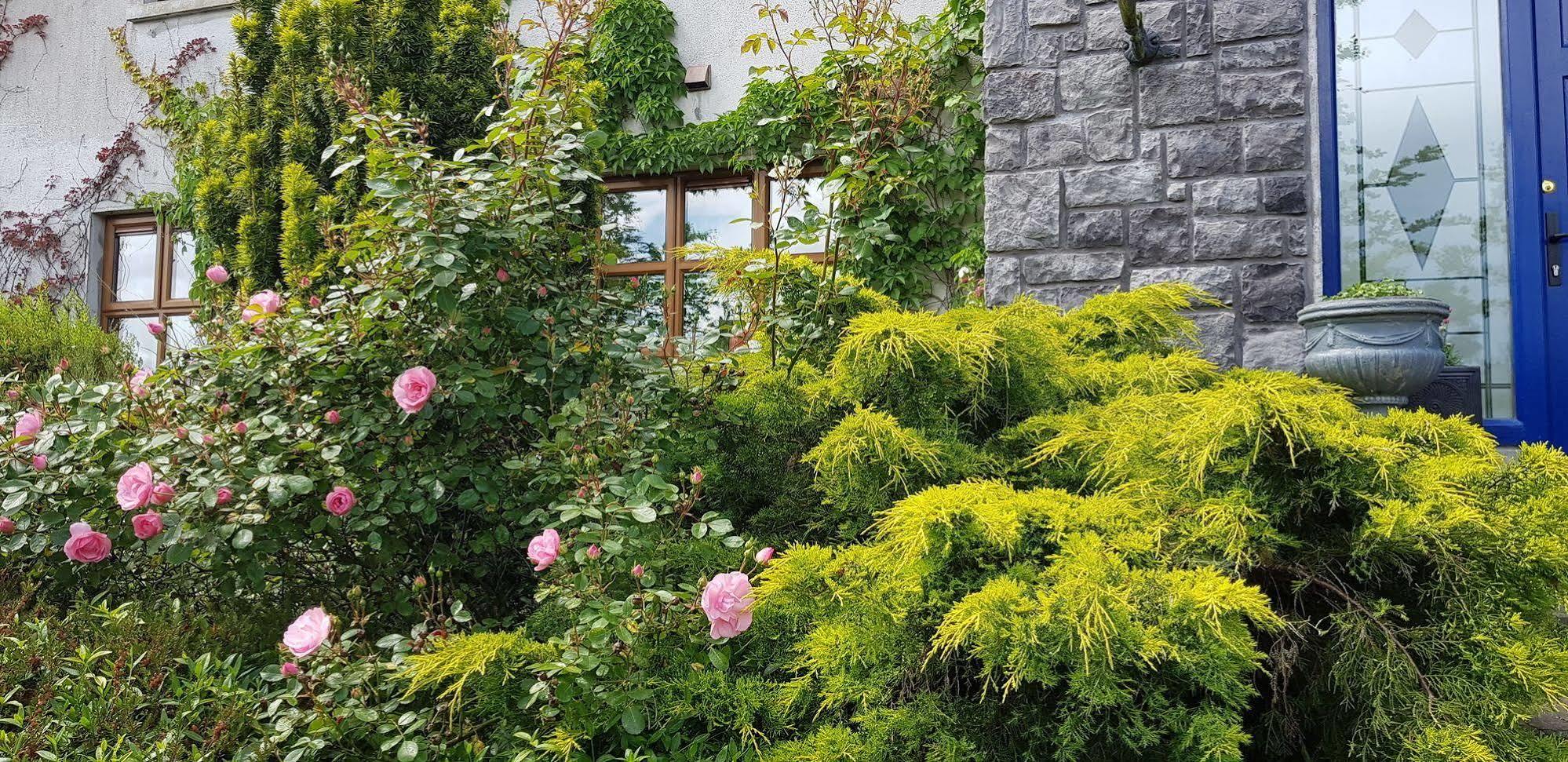 Bed & Breakfast Church View House Gorteen (Sligo)